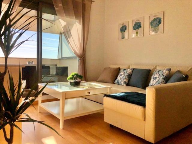 Gatu Premium Atico Parra, Parking, Piscina Comun, Terraza, Wifi , " Preferente Mayores De 25 Anos Y Familias " Ел Пуерто де Санта Мария Екстериор снимка